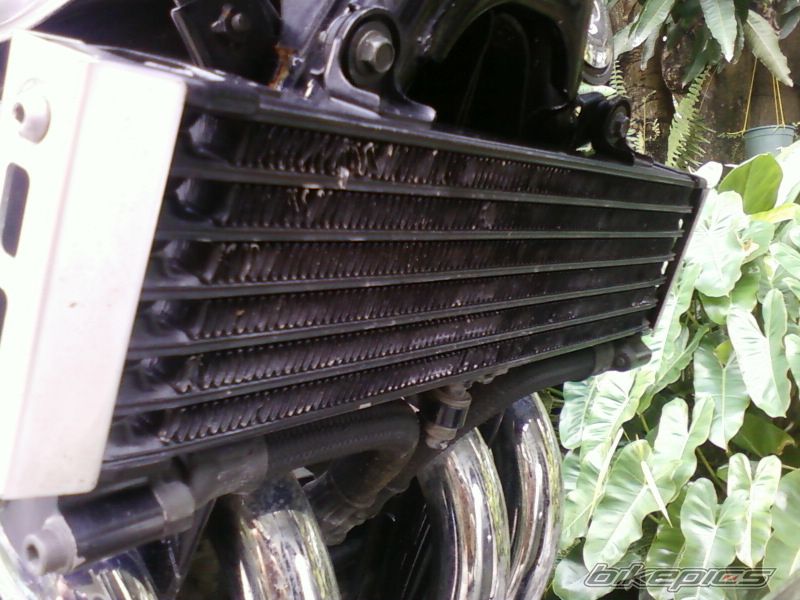 Photo 2080791