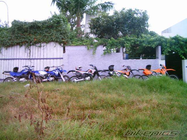Photo 208083