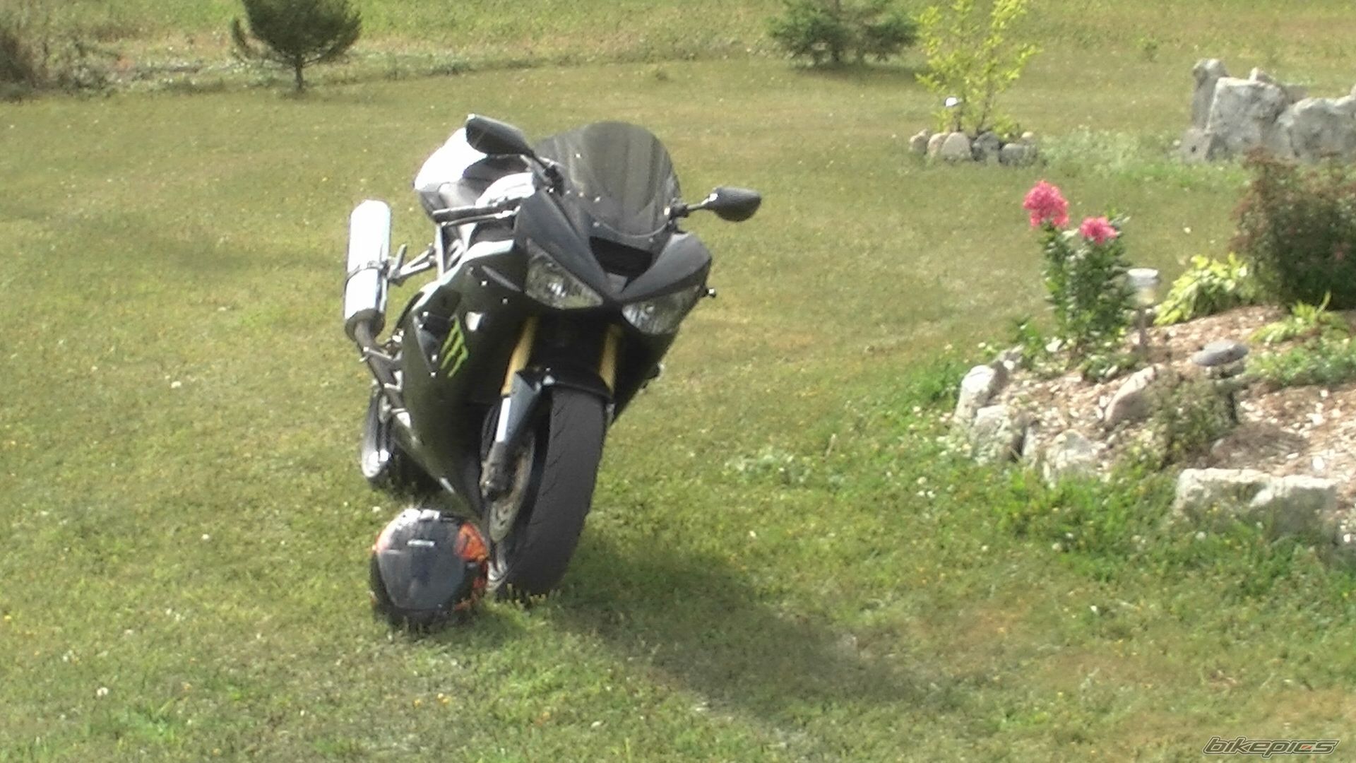Photo 2080846