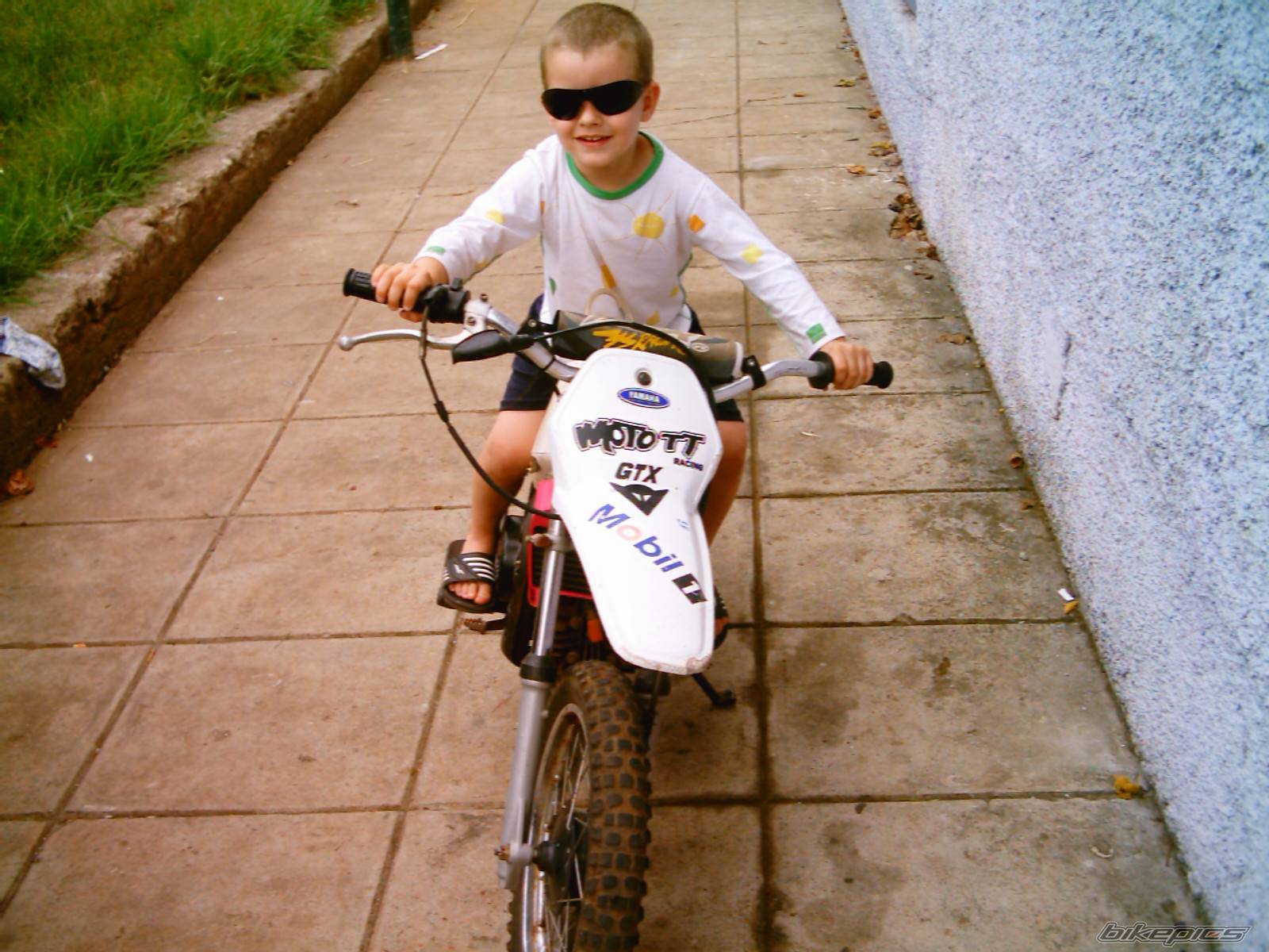 Photo 208086