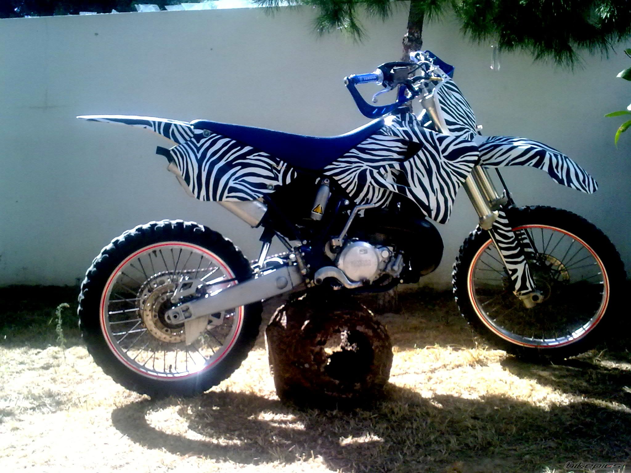 Photo 2080891
