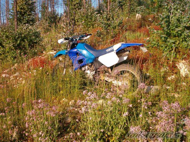 Photo 208096