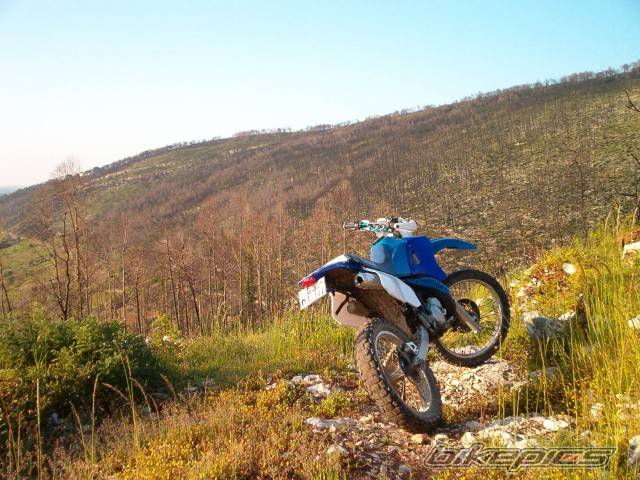 Photo 208097