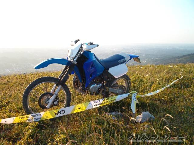 Photo 208103