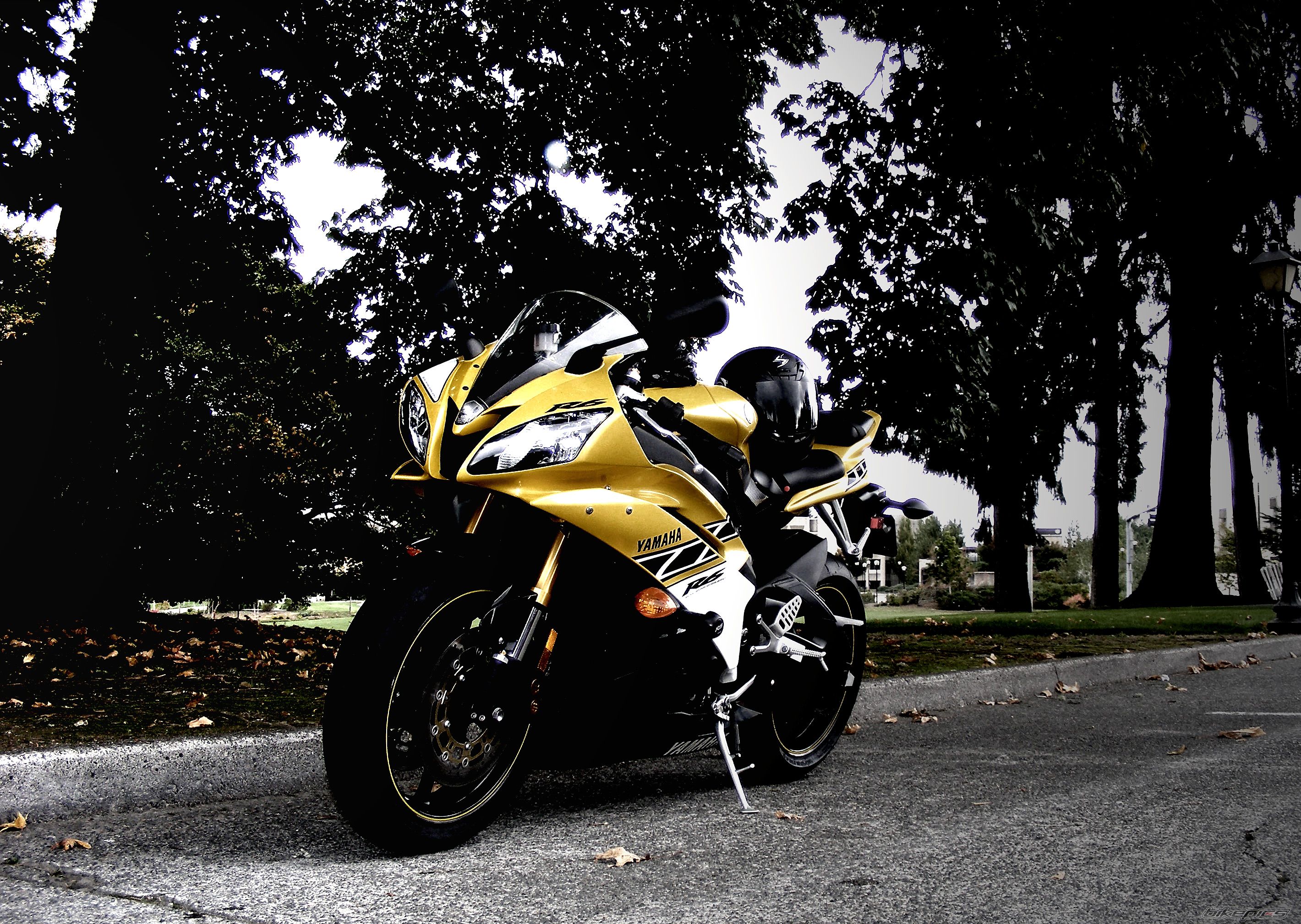 Bike Photo 2081051