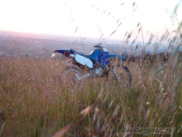 Photo 208107