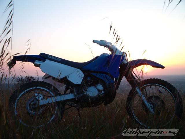 Photo 208109