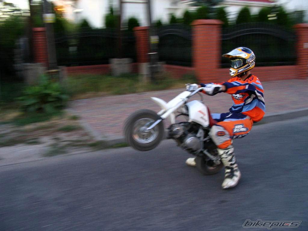 Photo 2081123