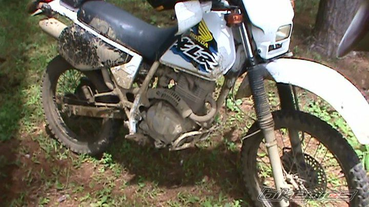 Photo 2081734