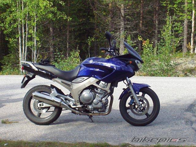 Photo 208175