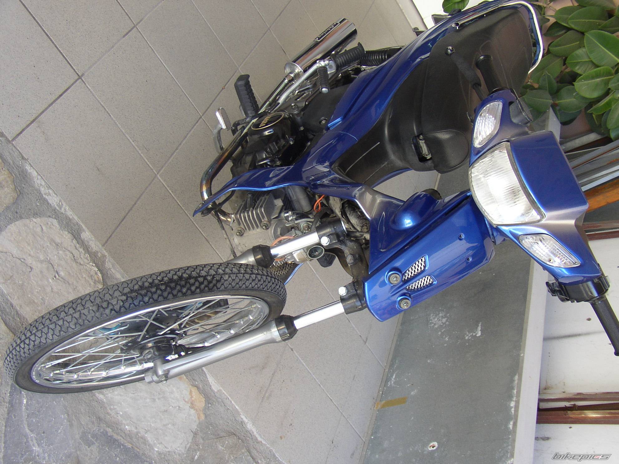 Photo 208203