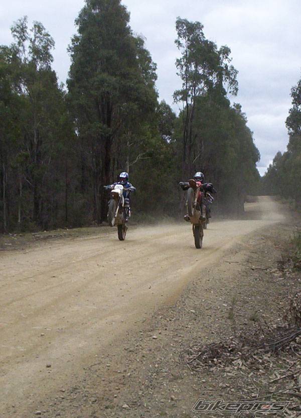 Photo 208204