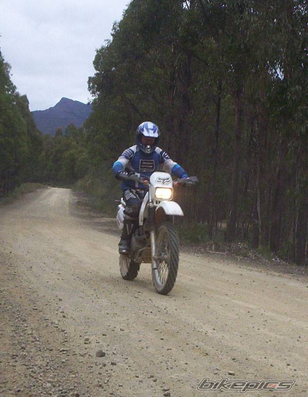 Photo 208208
