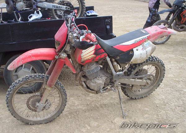 Photo 208220
