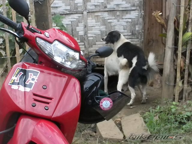 Photo 2082347