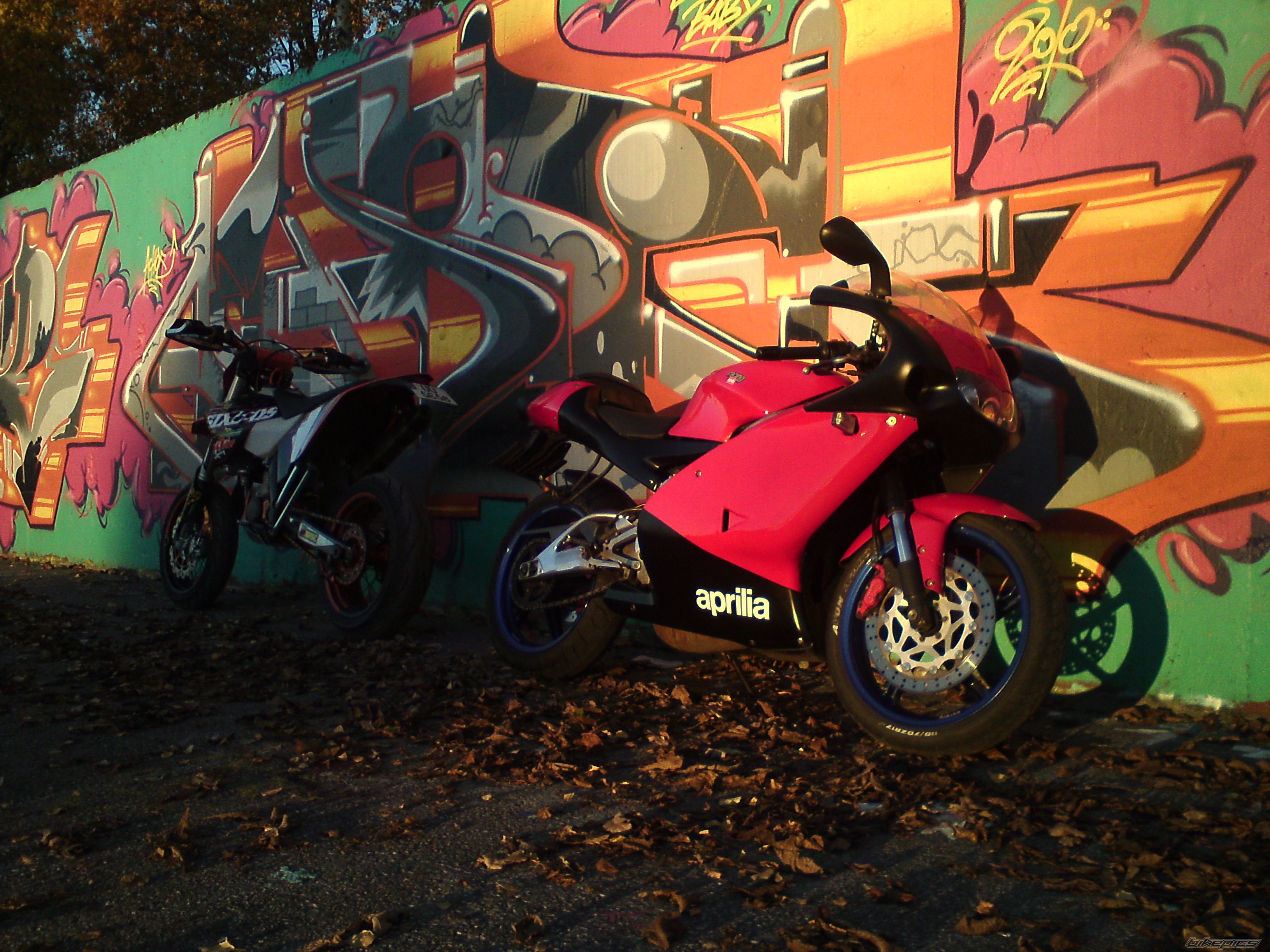 Photo 2082632