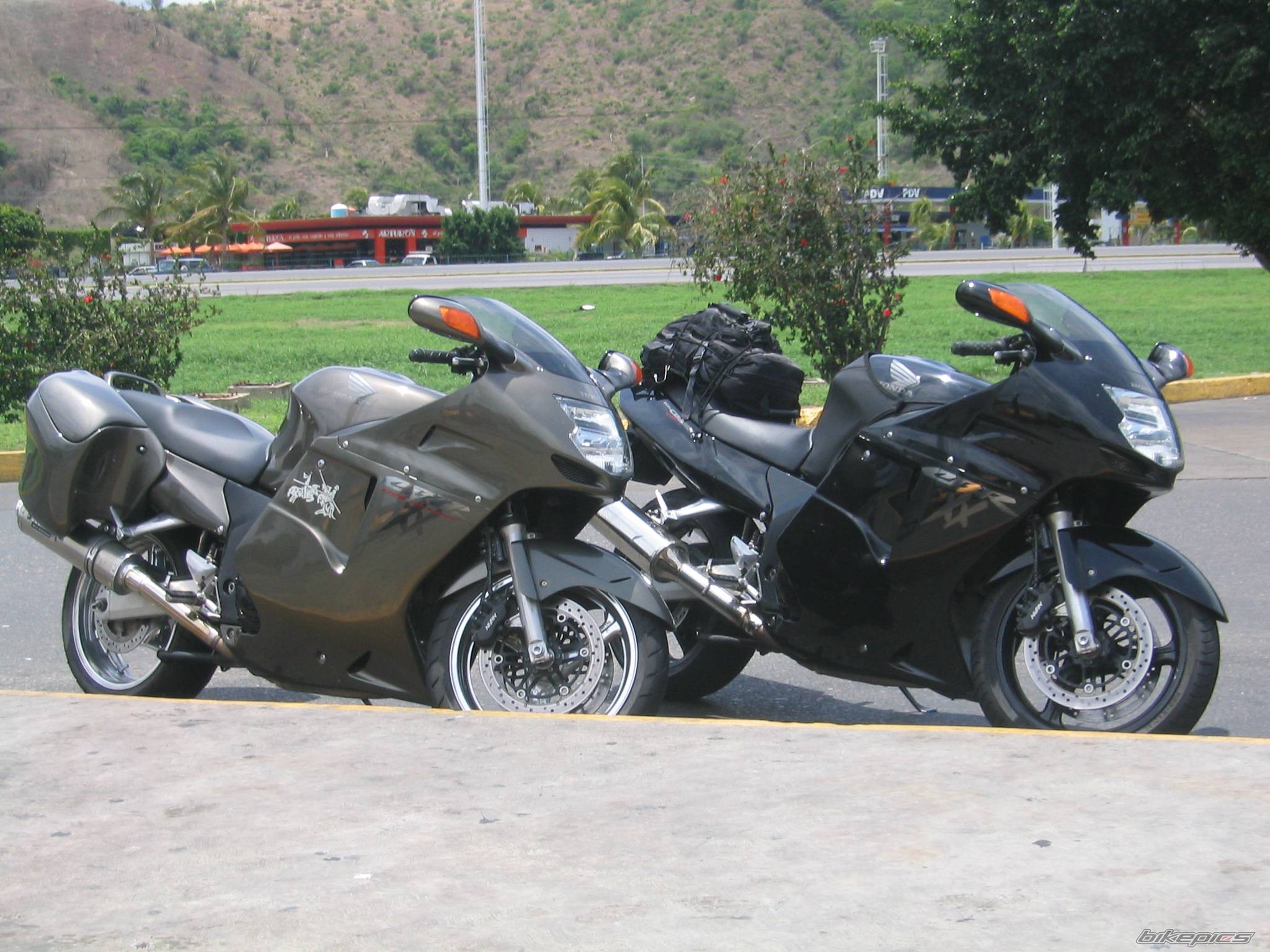 Photo 208267