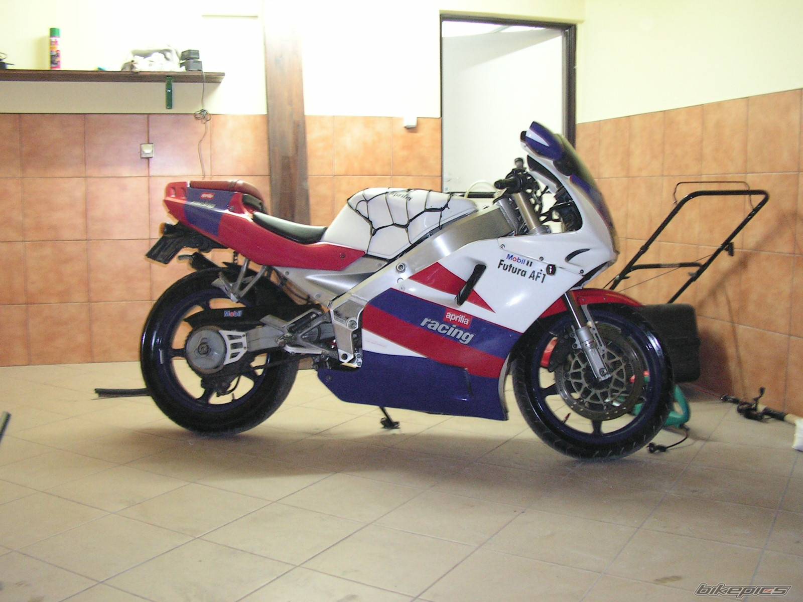 Photo 208271