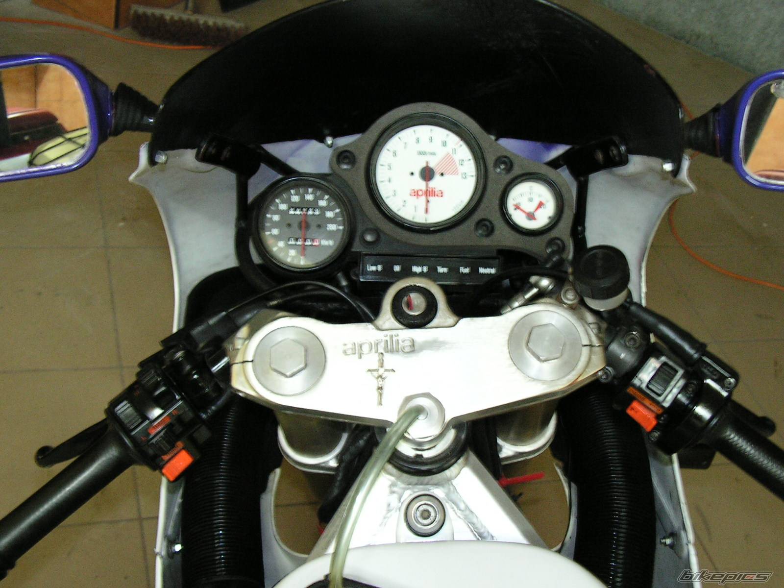 Photo 208274