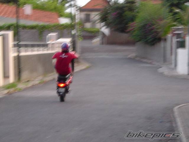 Photo 208283