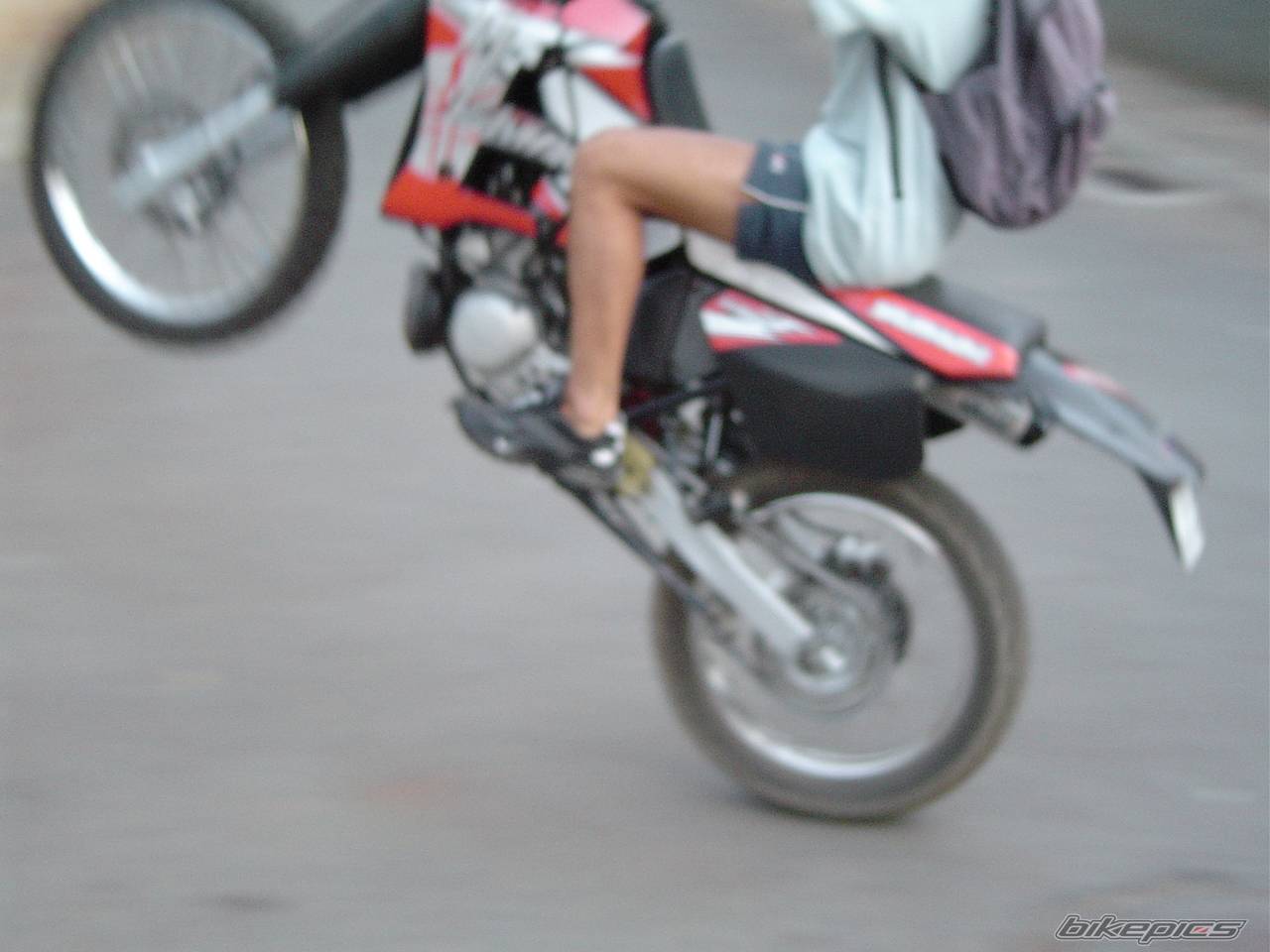 Photo 208291