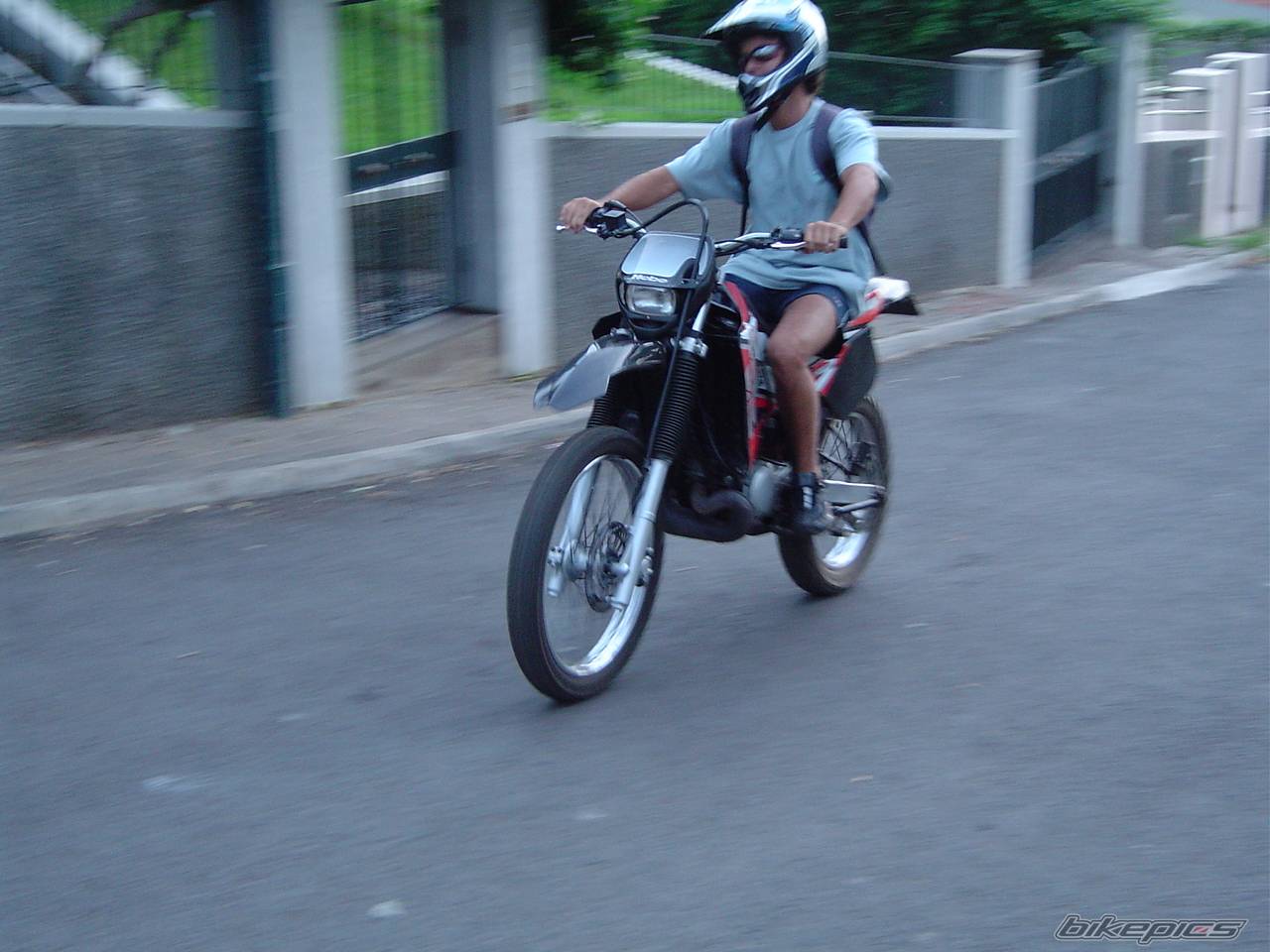 Photo 208293