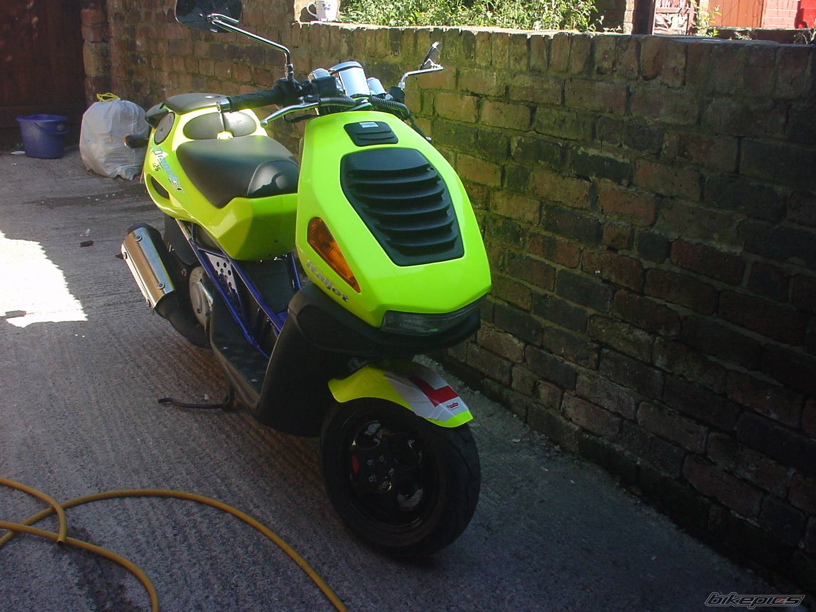 Photo 208309