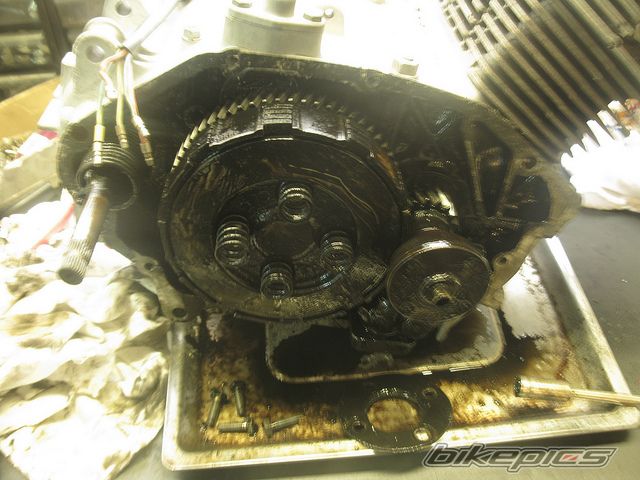 Photo 2083119