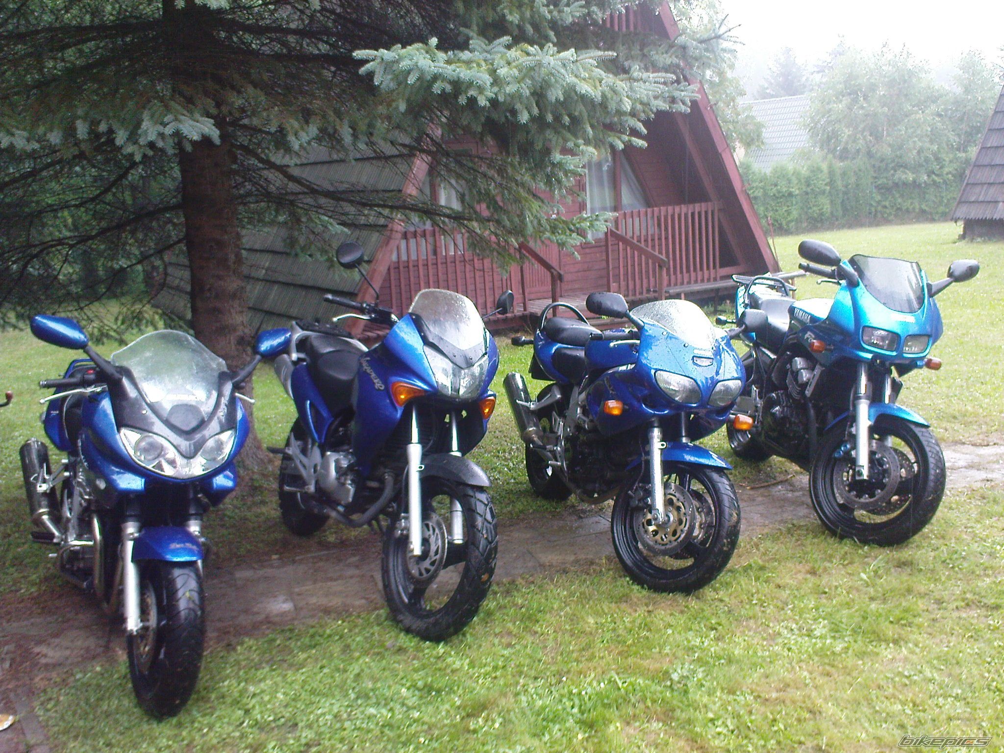 Photo 2083215