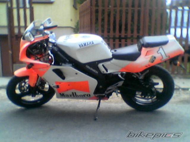 Photo 208325