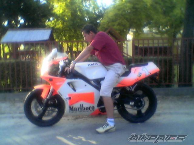 Photo 208327