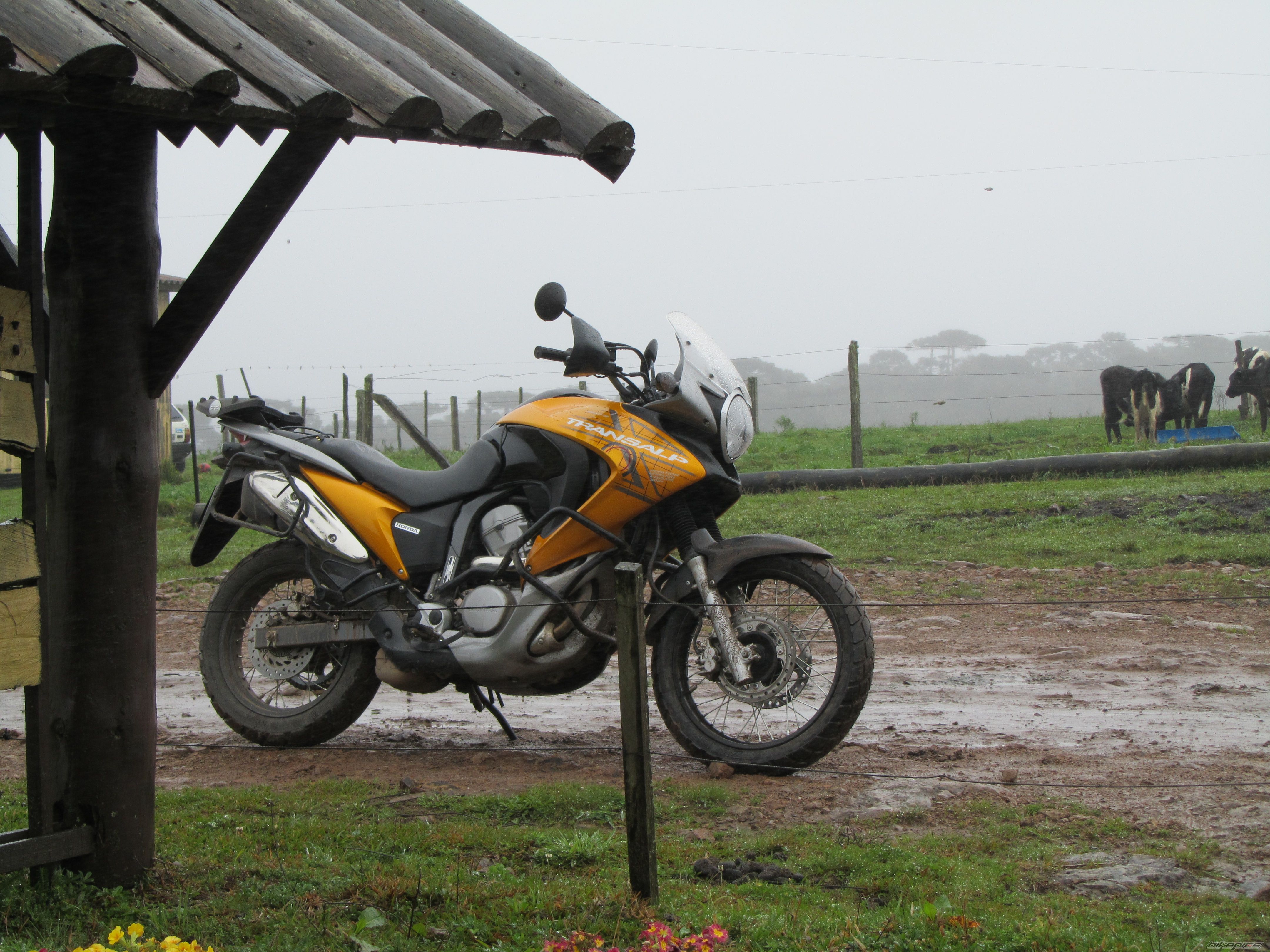 Photo 2083332