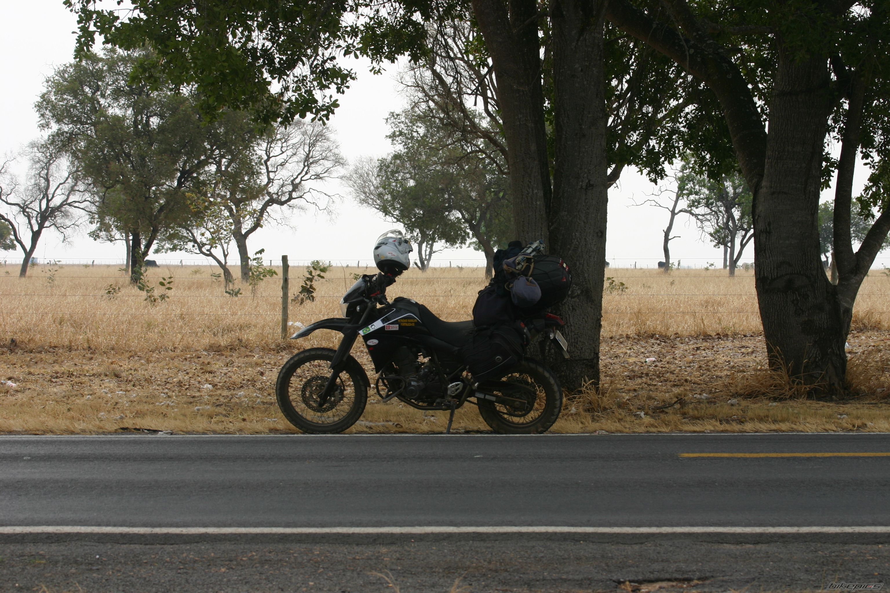 Photo 2083350
