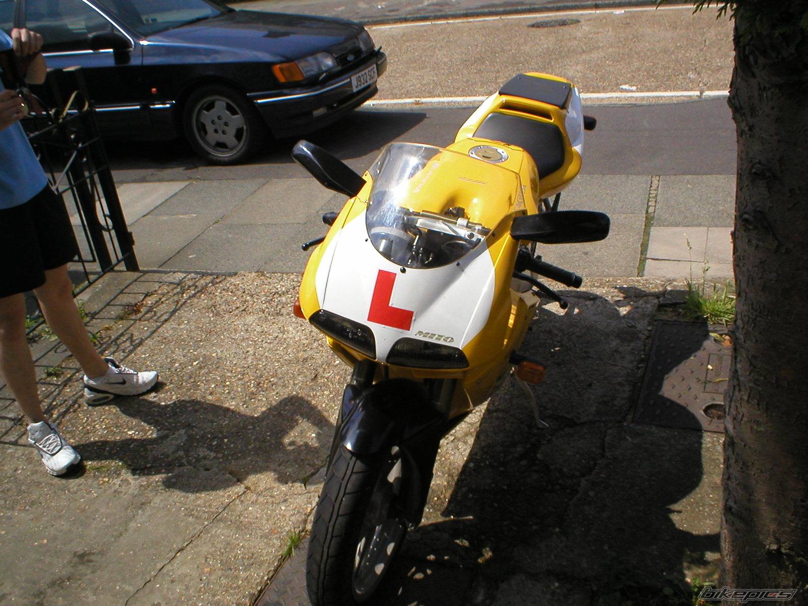 Photo 208359