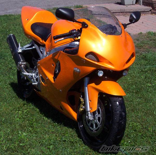 Photo 208365