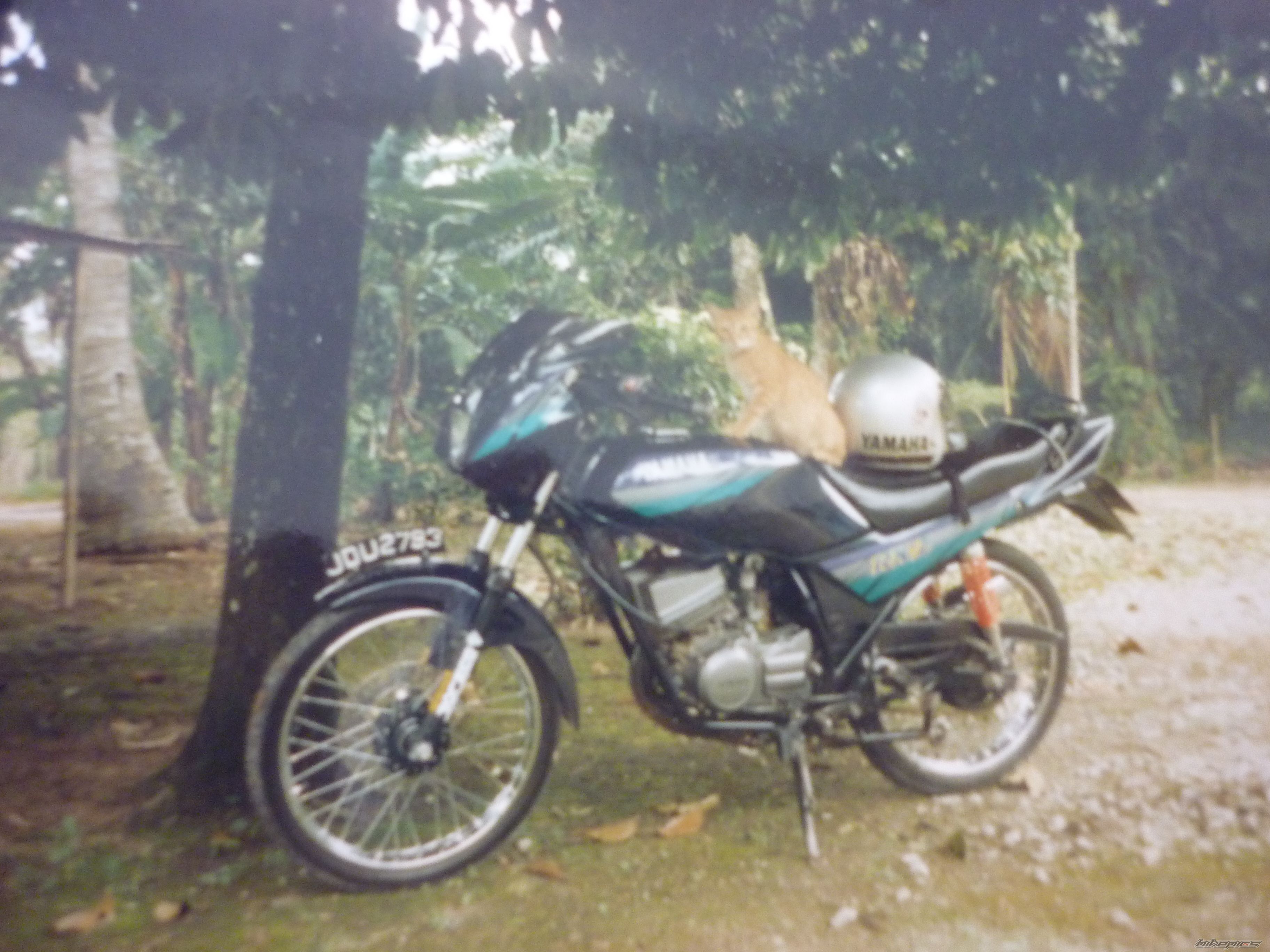 Bike Photo 2083661