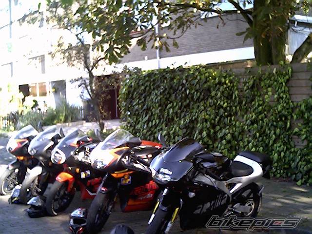 Photo 208378