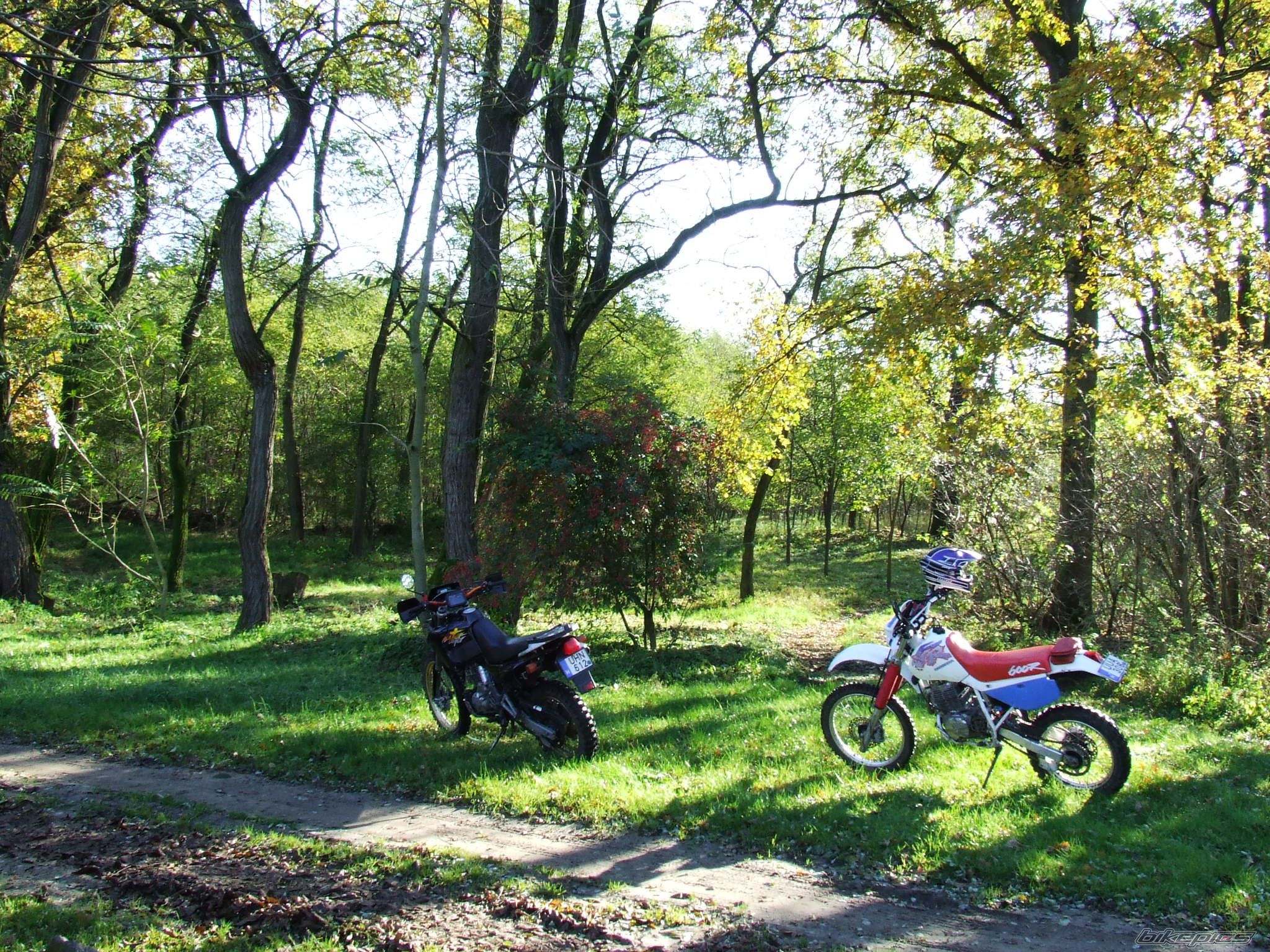 Bike Photo 2084272