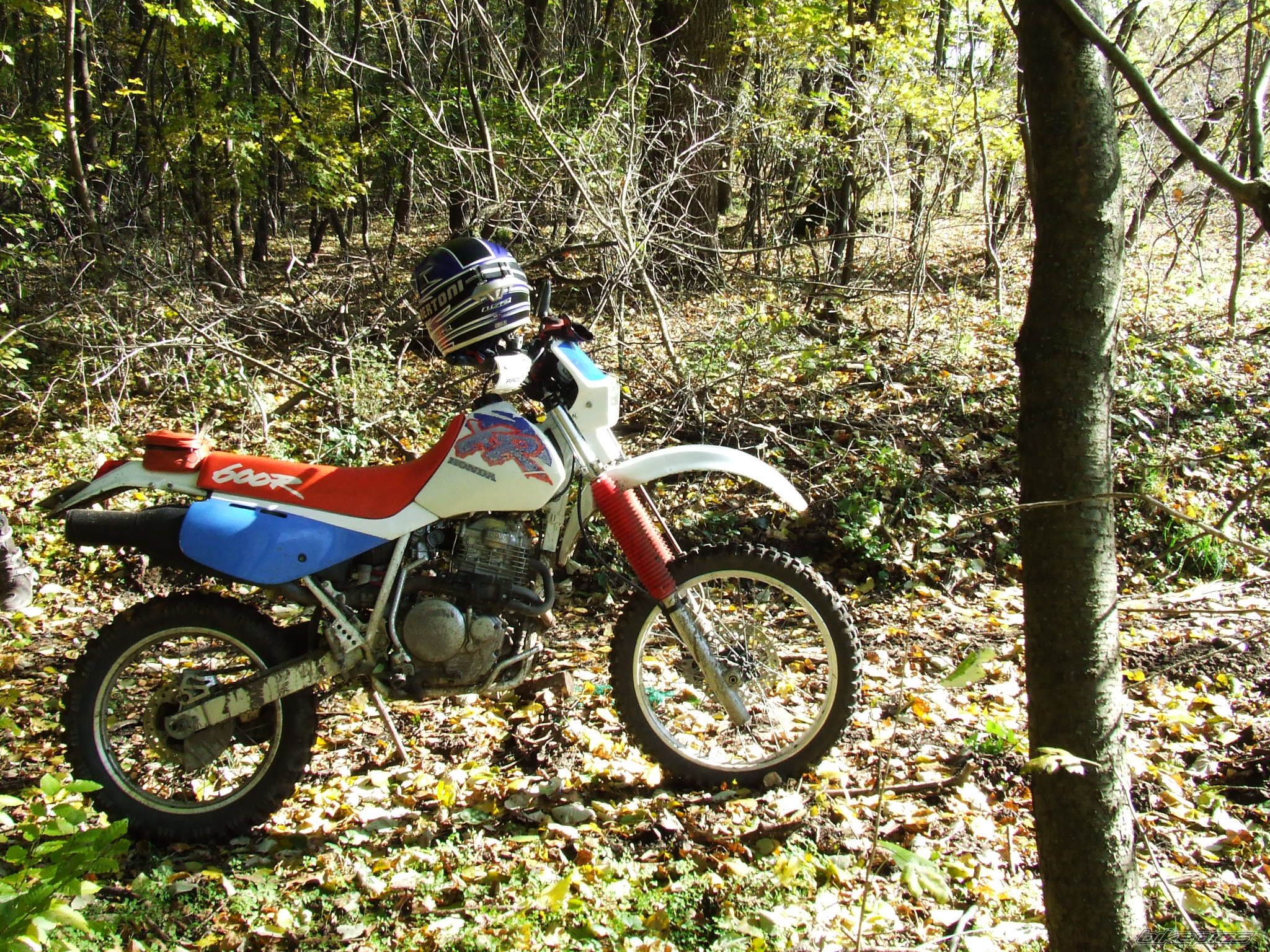 Bike Photo 2084274