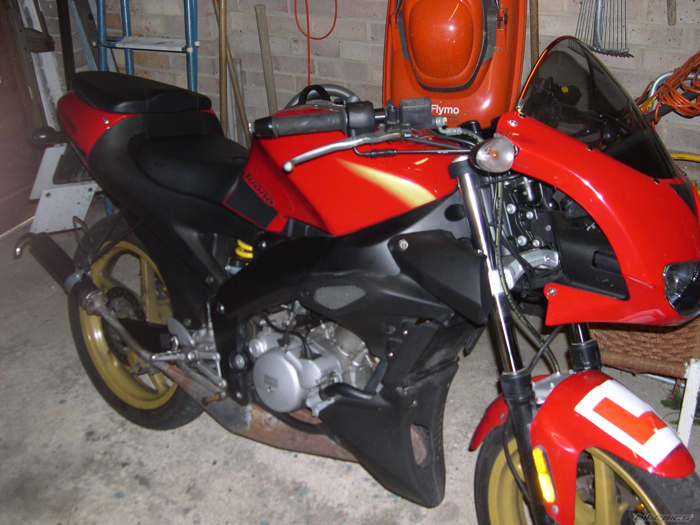 Photo 208432