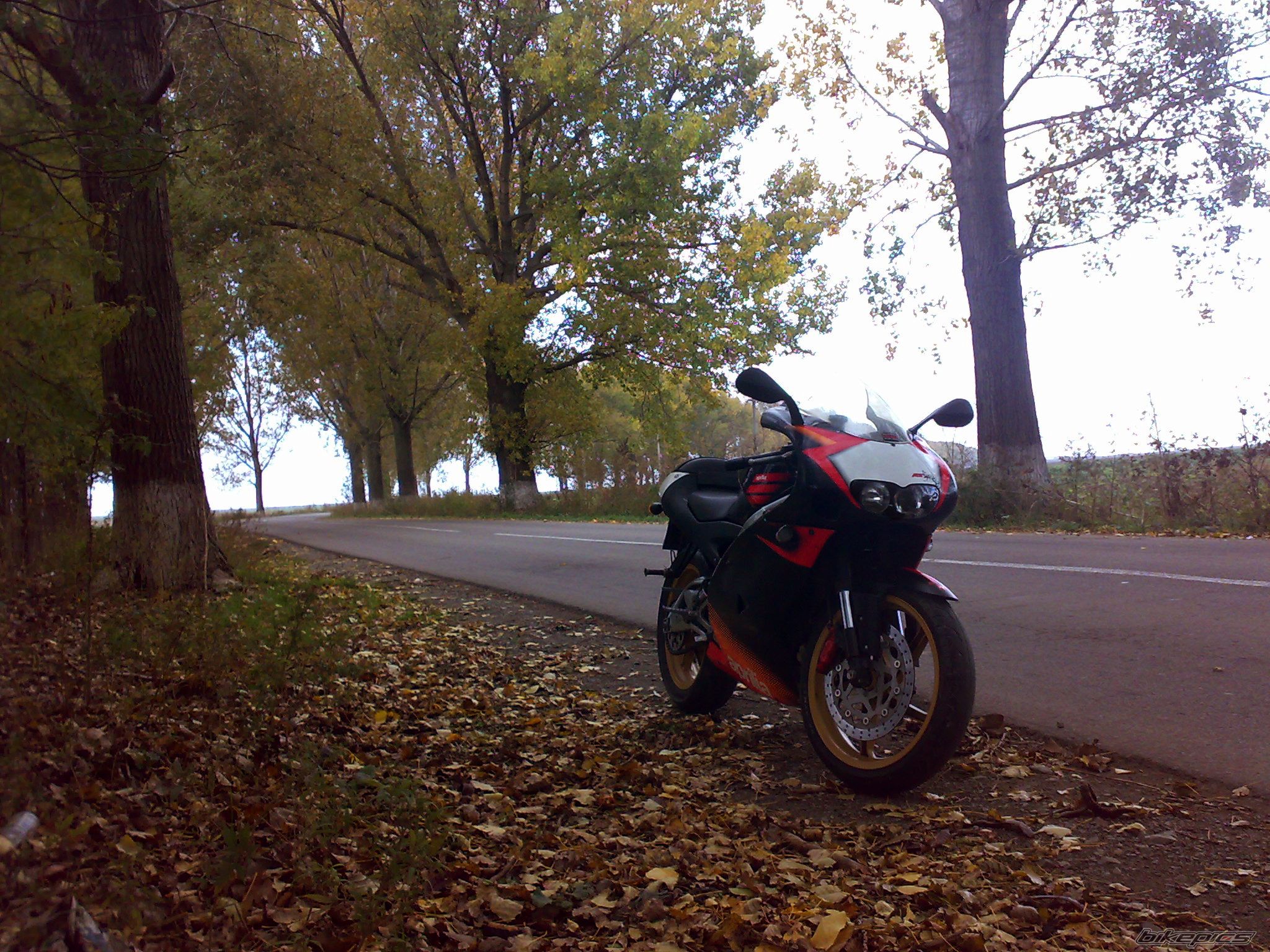 Photo 2084851