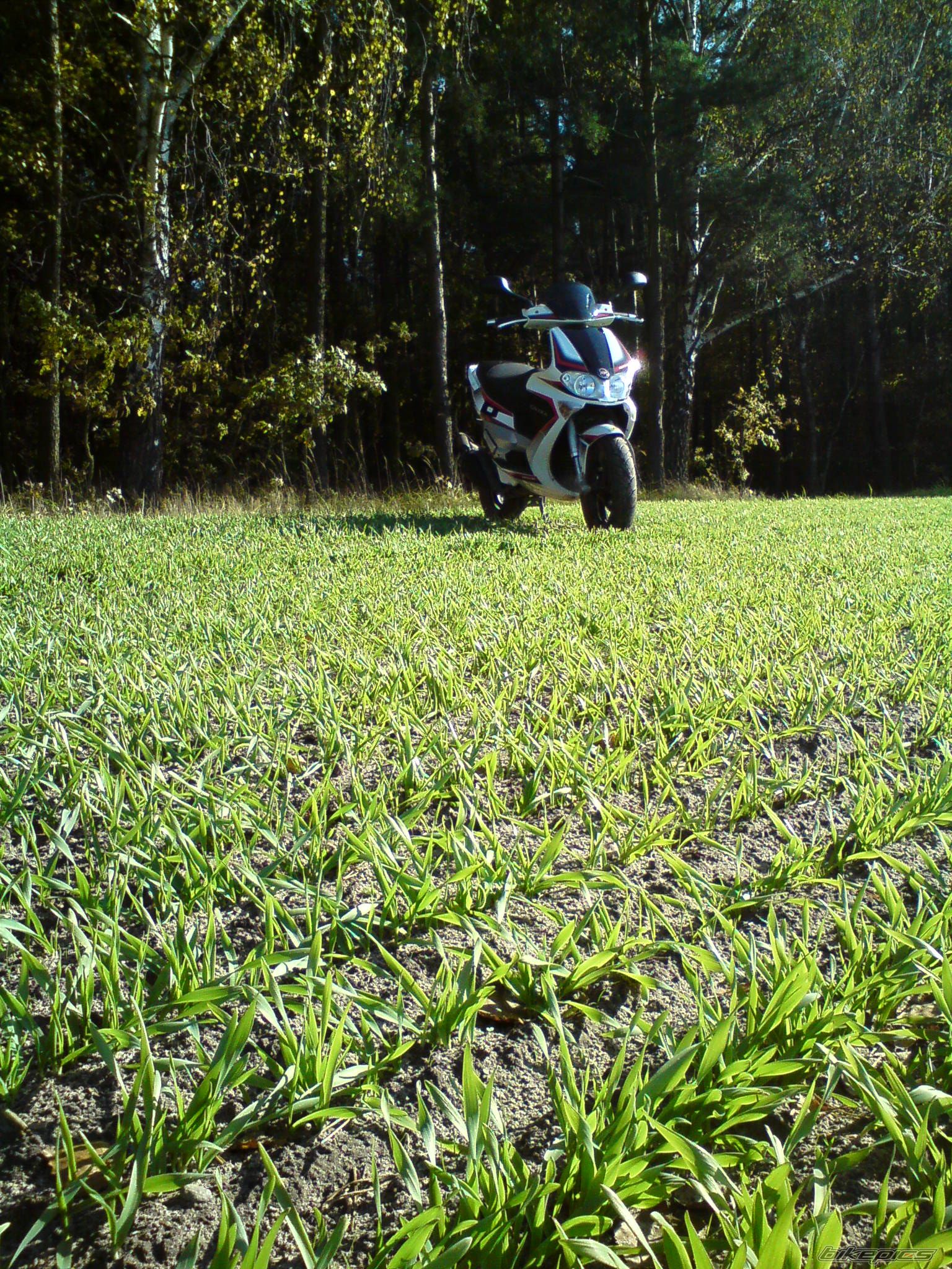 Photo 2084852