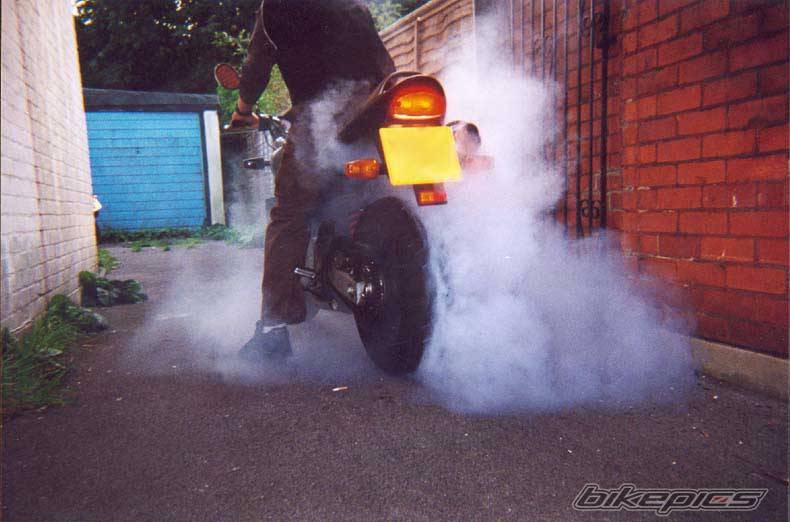 Photo 20849