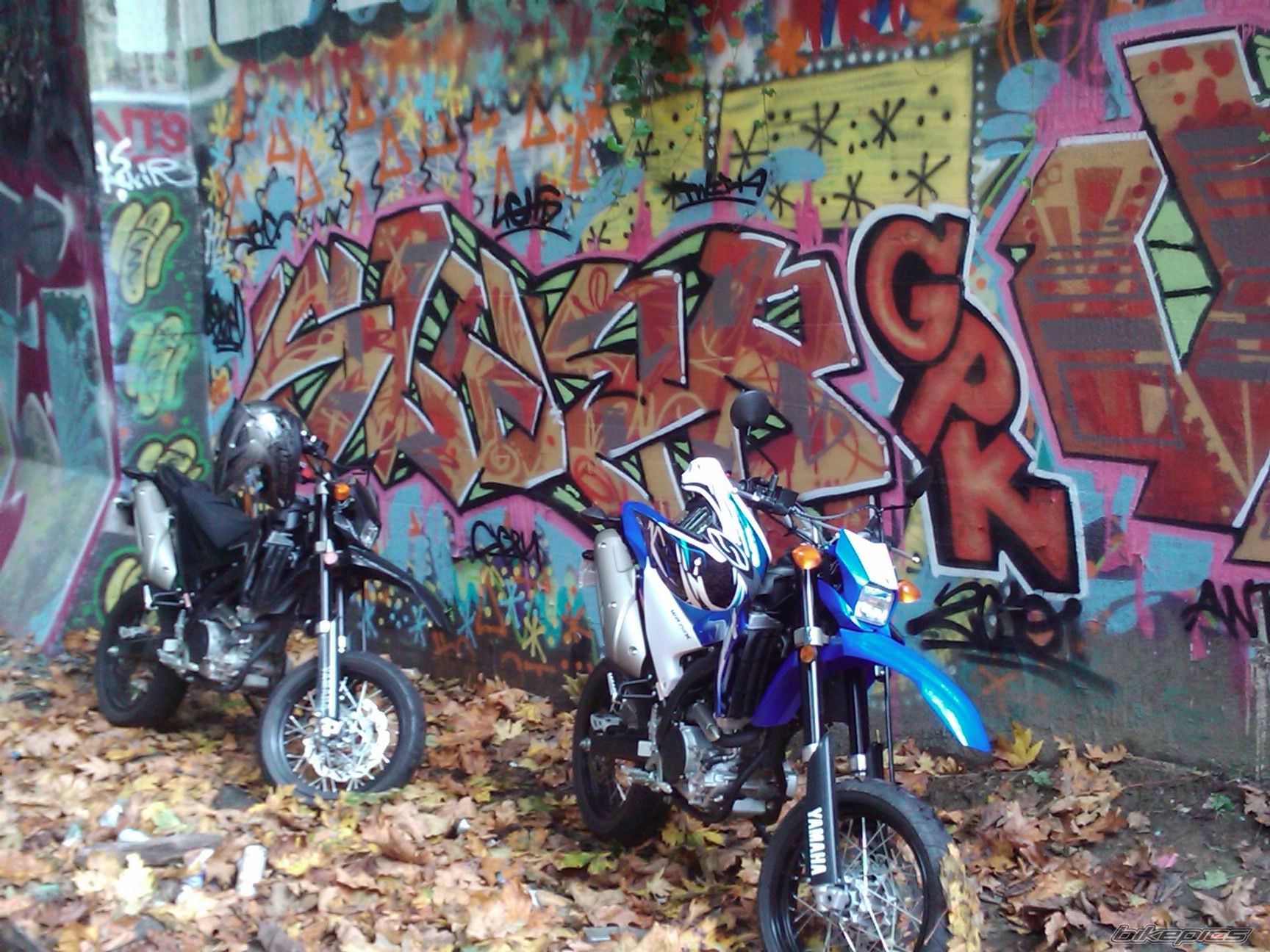Photo 2085095