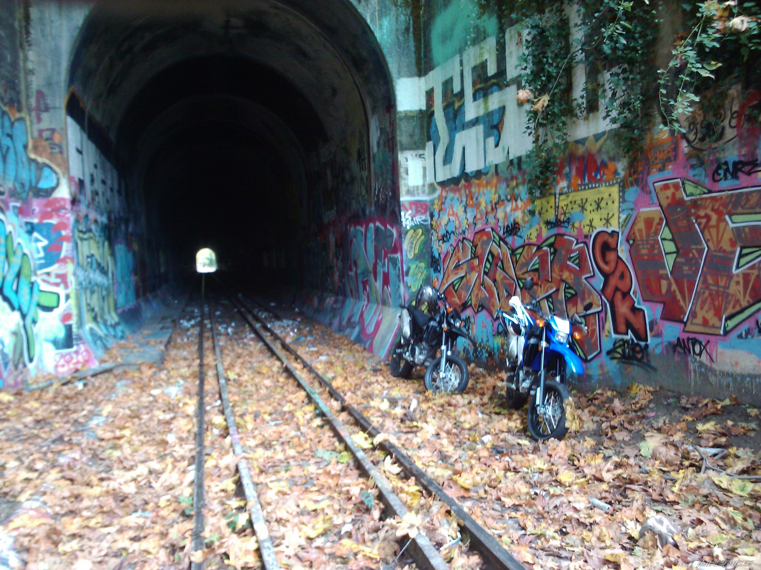 Photo 2085097