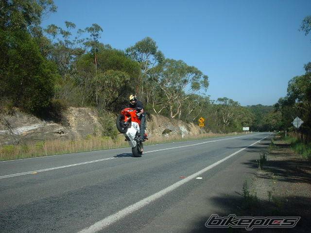 Photo 20852