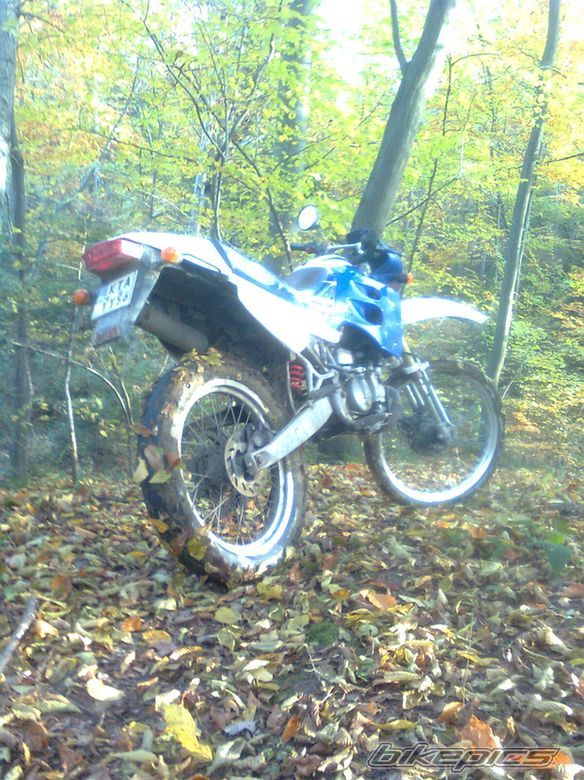 Photo 2085205