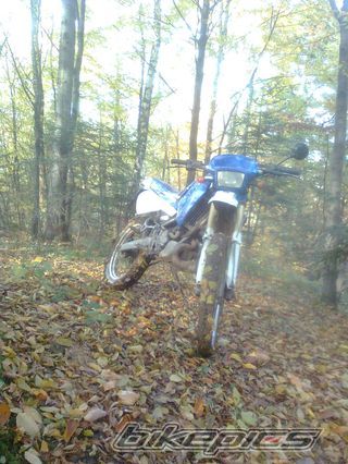Photo 2085218