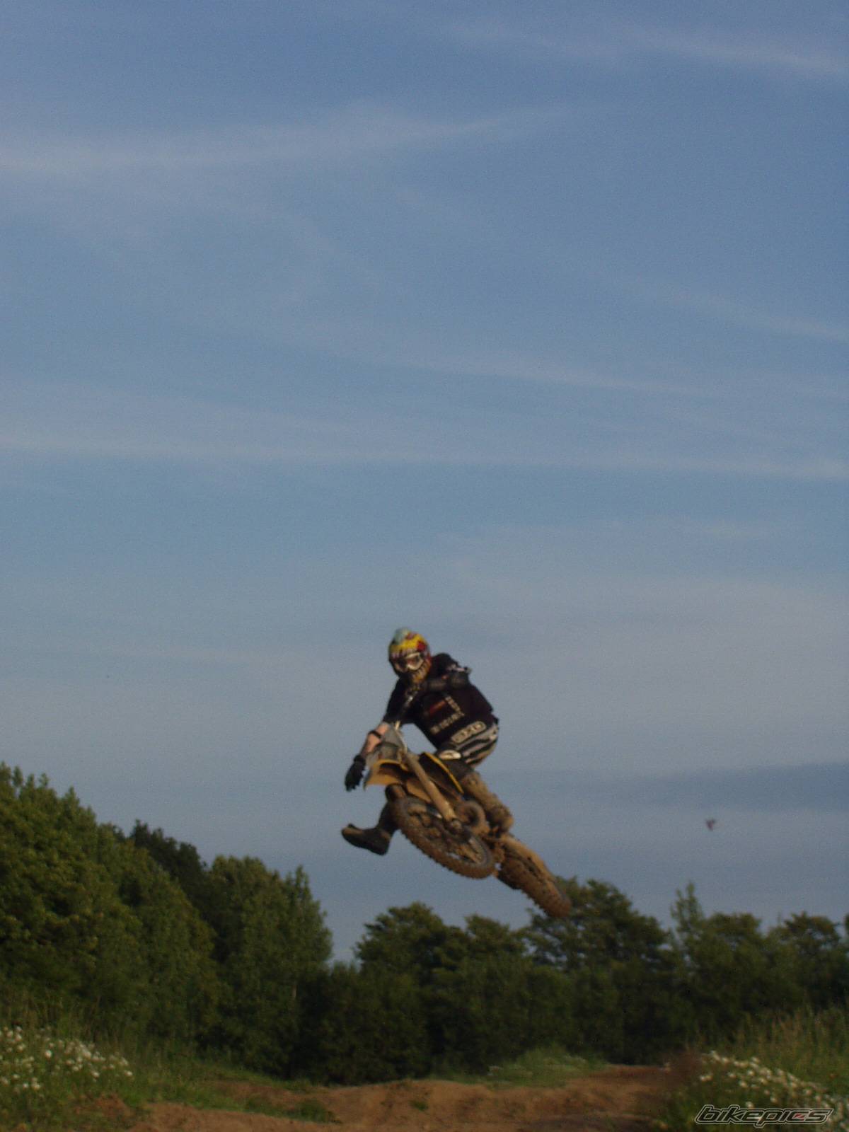 Photo 208529