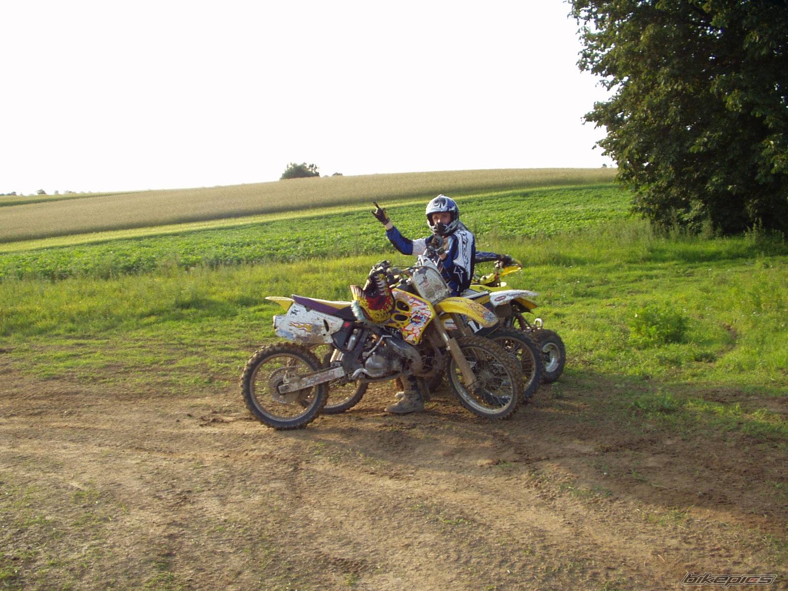 Photo 208530